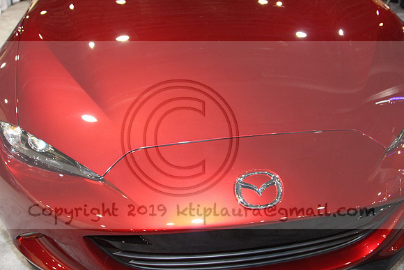IMG_6776.AUTO SHOW PHILADELPHIA 2019   KTIPlaura