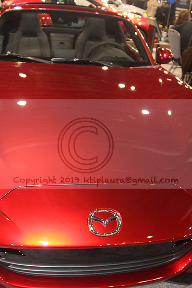 IMG_6777.AUTO SHOW PHILADELPHIA 2019   KTIPlaura