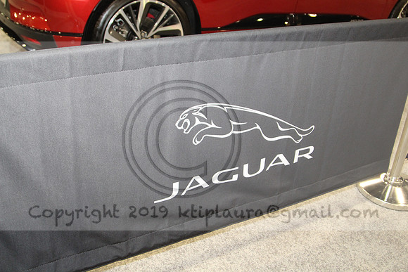 IMG_6782.AUTO SHOW PHILADELPHIA 2019   KTIPlaura