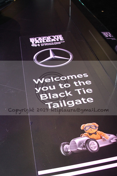 IMG_7151.AUTO SHOW PHILADELPHIA 2019   KTIPlaura