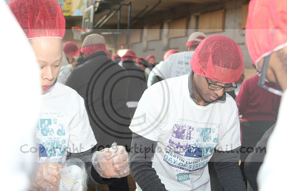 IMG_6501.PABJ  MLK JAN 21, 2019   KTIPlaura