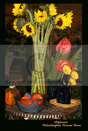 The Philadelphia Flower Show 2009 (238)