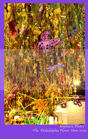IMG_8192 copy.2019 Flower Show Phila  March 2 2019 ktip laura