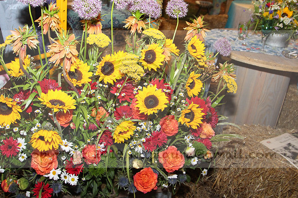 IMG_8131.2019 Flower Show Phila  March 2 2019 ktip laura