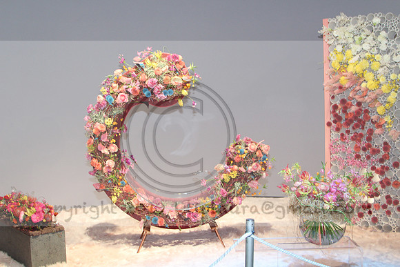 IMG_8130.2019 Flower Show Phila  March 2 2019 ktip laura