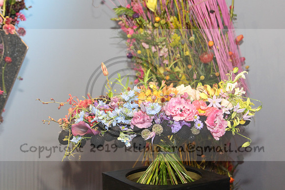 IMG_8140.2019 Flower Show Phila  March 2 2019 ktip laura
