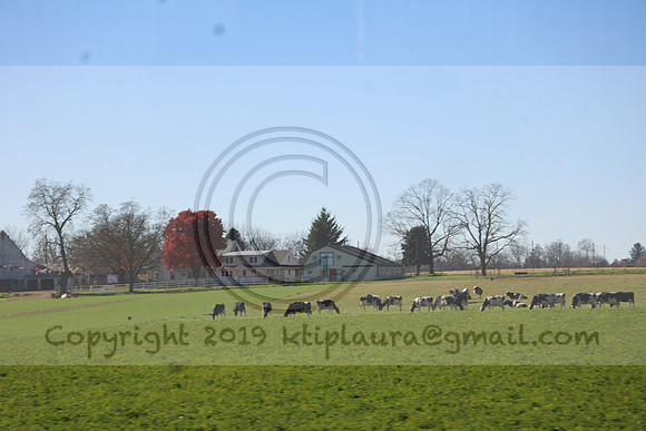 LEEL3095.  Lancaster Nov 2023