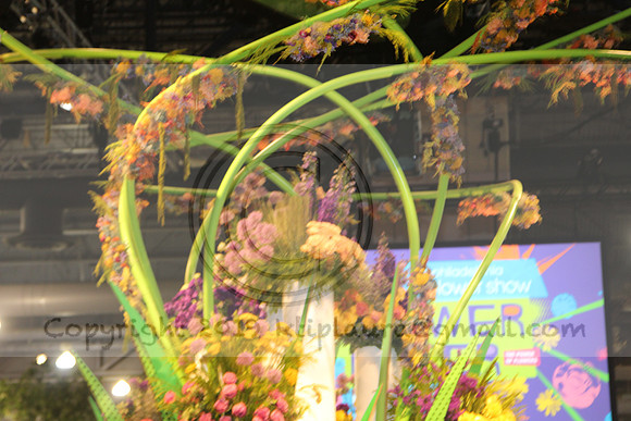 IMG_8136.2019 Flower Show Phila  March 2 2019 ktip laura