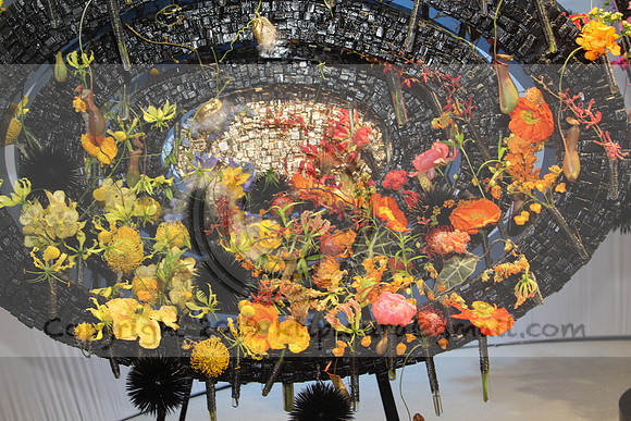 IMG_8139.2019 Flower Show Phila  March 2 2019 ktip laura