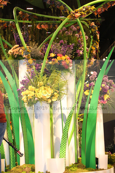 IMG_8156.2019 Flower Show Phila  March 2 2019 ktip laura