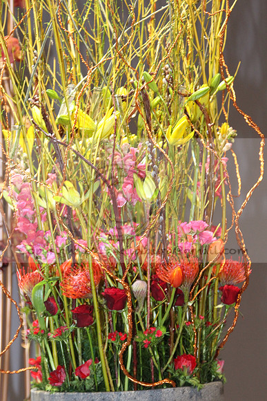 IMG_8159.2019 Flower Show Phila  March 2 2019 ktip laura