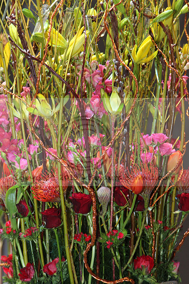 IMG_8160.2019 Flower Show Phila  March 2 2019 ktip laura