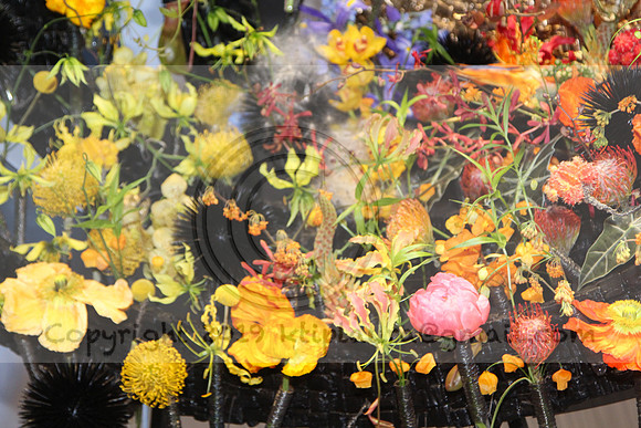 IMG_8187.2019 Flower Show Phila  March 2 2019 ktip laura