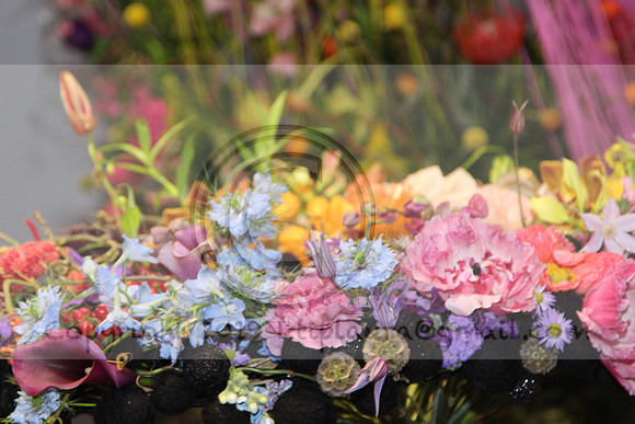 IMG_8188.2019 Flower Show Phila  March 2 2019 ktip laura