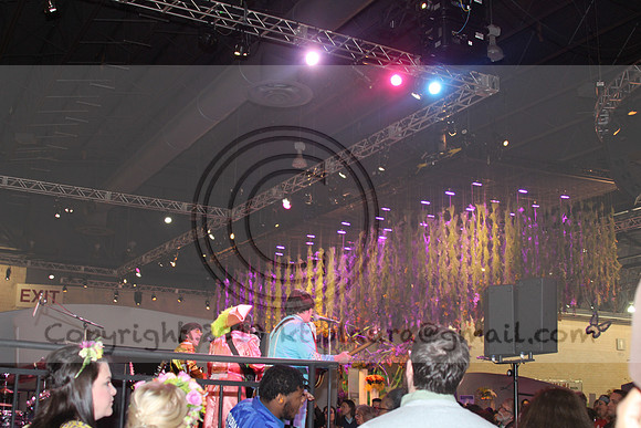IMG_8261.2019 Flower Show Phila  March 2 2019 ktip laura