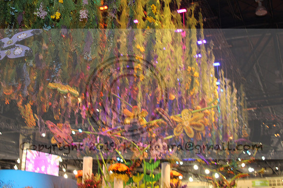 IMG_8311.2019 Flower Show Phila  March 2 2019 ktip laura