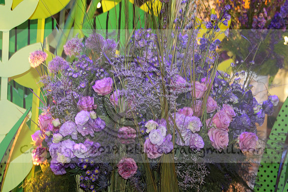 IMG_8315.2019 Flower Show Phila  March 2 2019 ktip laura