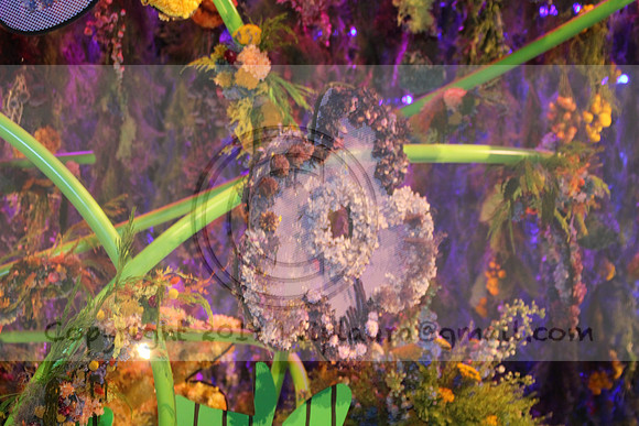 IMG_8316.2019 Flower Show Phila  March 2 2019 ktip laura