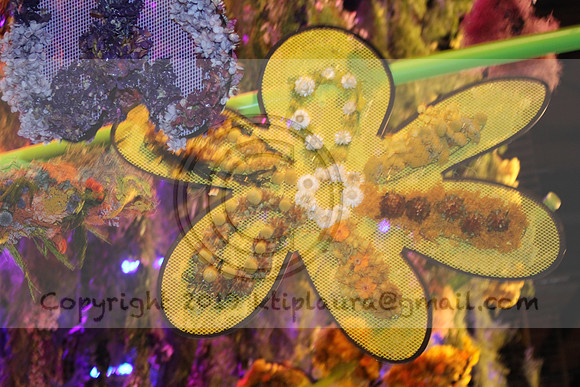 IMG_8317.2019 Flower Show Phila  March 2 2019 ktip laura