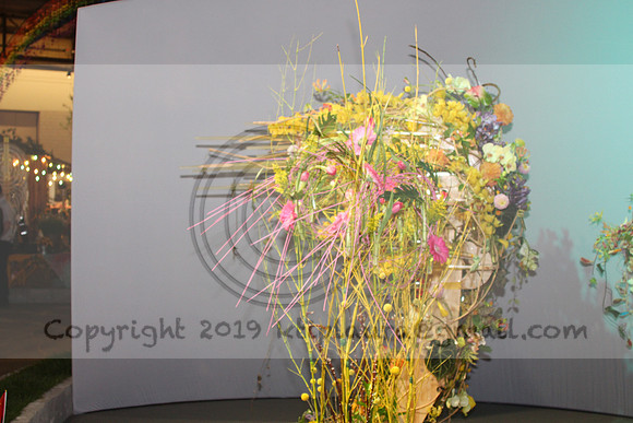 IMG_8326.2019 Flower Show Phila  March 2 2019 ktip laura