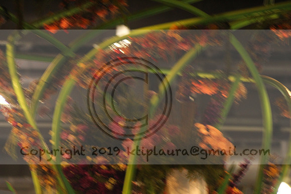 IMG_8335.2019 Flower Show Phila  March 2 2019 ktip laura