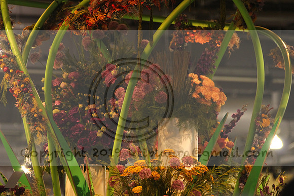 IMG_8336.2019 Flower Show Phila  March 2 2019 ktip laura