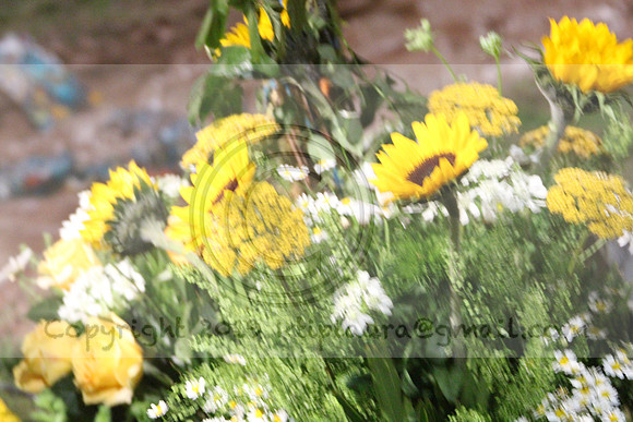 IMG_8342.2019 Flower Show Phila  March 2 2019 ktip laura