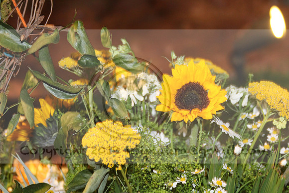IMG_8344.2019 Flower Show Phila  March 2 2019 ktip laura