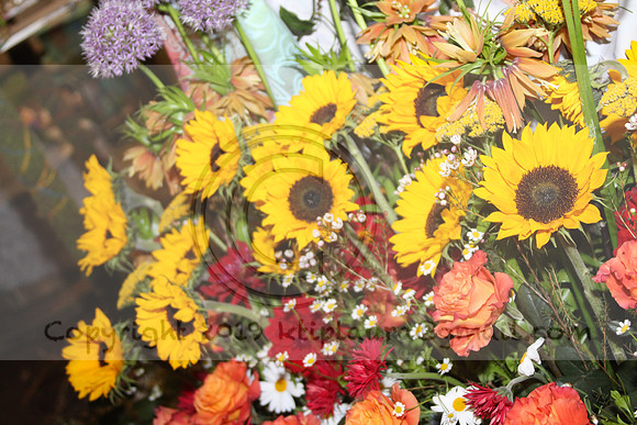 IMG_8346.2019 Flower Show Phila  March 2 2019 ktip laura