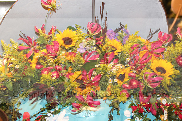 IMG_8359.2019 Flower Show Phila  March 2 2019 ktip laura