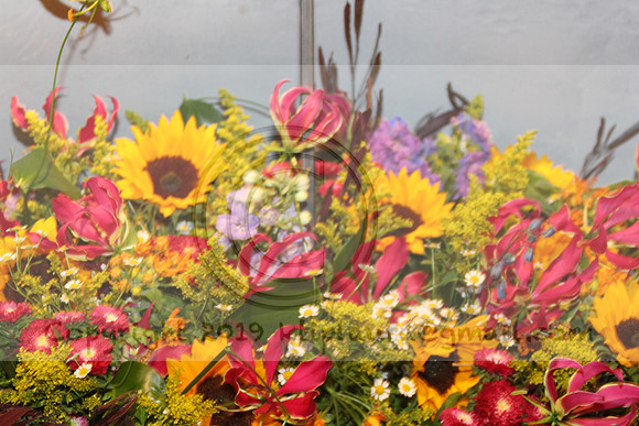 IMG_8363.2019 Flower Show Phila  March 2 2019 ktip laura
