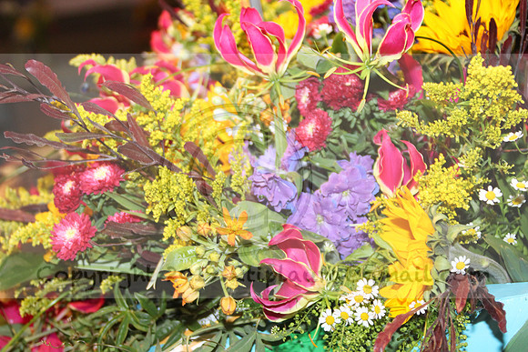 IMG_8367.2019 Flower Show Phila  March 2 2019 ktip laura