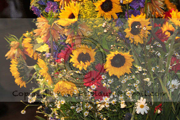IMG_8368.2019 Flower Show Phila  March 2 2019 ktip laura