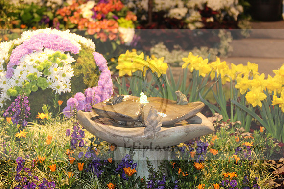 IMG_8380.2019 Flower Show Phila  March 2 2019 ktip laura