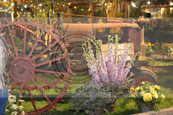 IMG_8384.2019 Flower Show Phila  March 2 2019 ktip laura