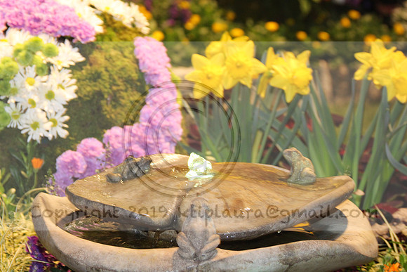 IMG_8386.2019 Flower Show Phila  March 2 2019 ktip laura