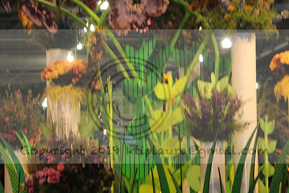 IMG_8401.2019 Flower Show Phila  March 2 2019 ktip laura