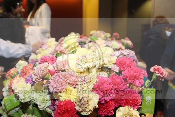 IMG_8403.2019 Flower Show Phila  March 2 2019 ktip laura