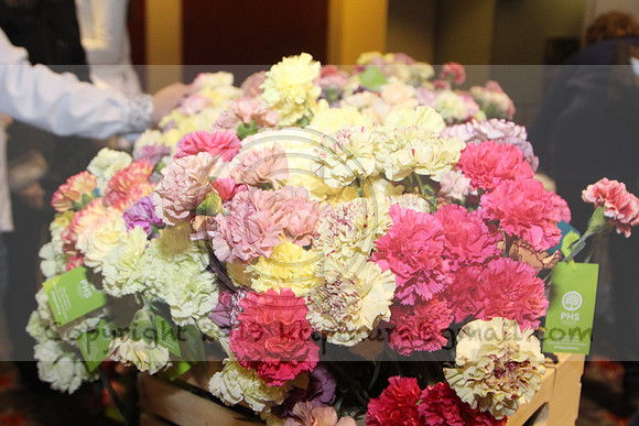 IMG_8404.2019 Flower Show Phila  March 2 2019 ktip laura