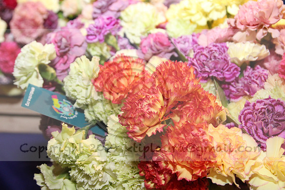 IMG_8405.2019 Flower Show Phila  March 2 2019 ktip laura
