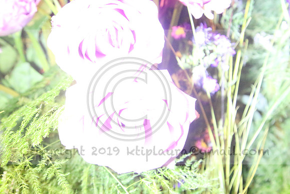 IMG_8413.PHS  MARCH 5  2019 KTIP LAURA'S PHOTOS