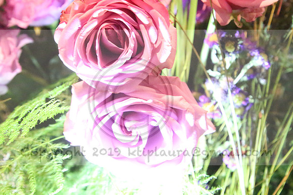 IMG_8416.PHS  MARCH 5  2019 KTIP LAURA'S PHOTOS