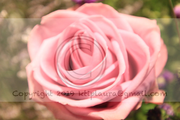 IMG_8448.PHS  MARCH 5  2019 KTIP LAURA'S PHOTOS