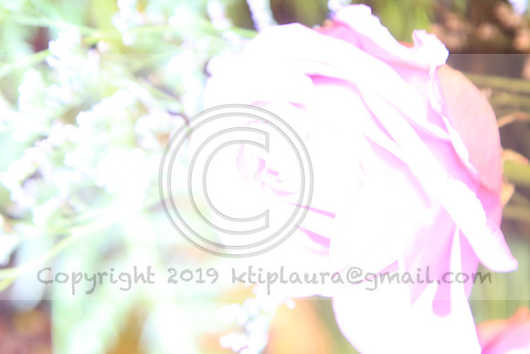 IMG_8449.PHS  MARCH 5  2019 KTIP LAURA'S PHOTOS