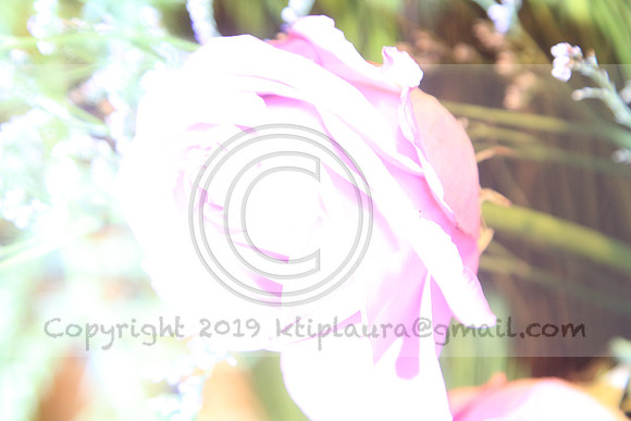 IMG_8450.PHS  MARCH 5  2019 KTIP LAURA'S PHOTOS
