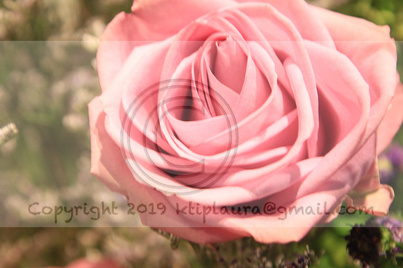 IMG_8451.PHS  MARCH 5  2019 KTIP LAURA'S PHOTOS