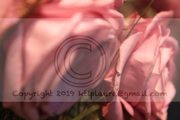 IMG_8453.PHS  MARCH 5  2019 KTIP LAURA'S PHOTOS