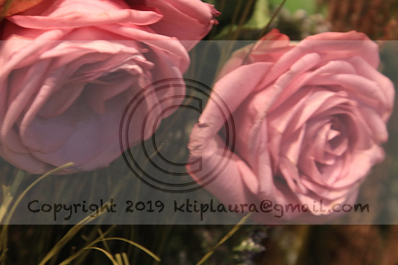 IMG_8454.PHS  MARCH 5  2019 KTIP LAURA'S PHOTOS