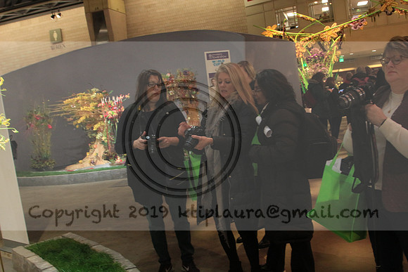 IMG_8472.PHS  MARCH 5  2019 KTIP LAURA'S PHOTOS