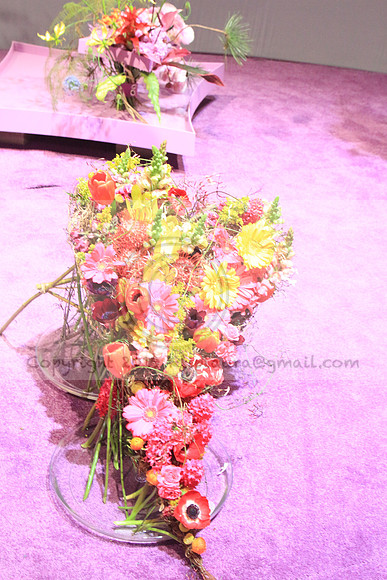 IMG_8506.PHS  MARCH 5  2019 KTIP LAURA'S PHOTOS